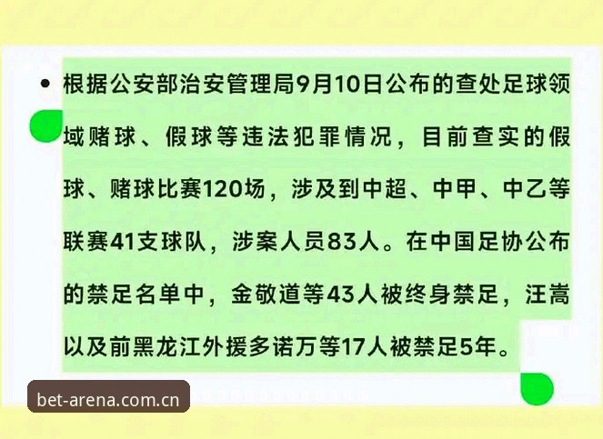 中国足协第三批禁足名单详解：17人终身禁赛，48人遭重罚